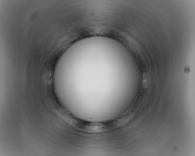 X0000092010514200709201533