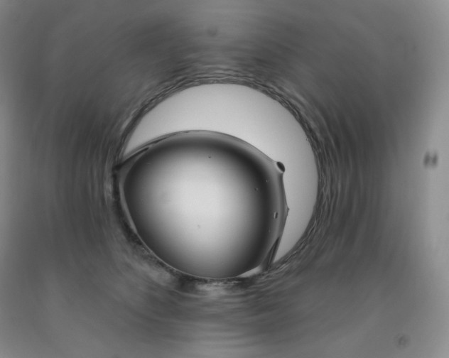 X0000092010516200709201533