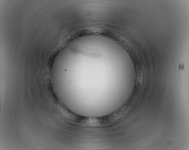 X0000092010518200709201533