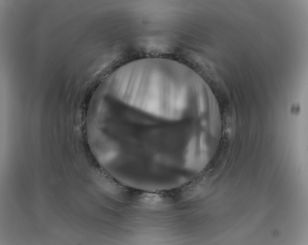 X0000092010519200709201533