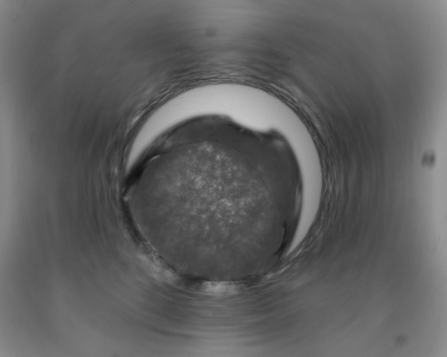 X0000092010520200709201533