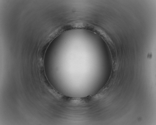 X0000092010521200709201533