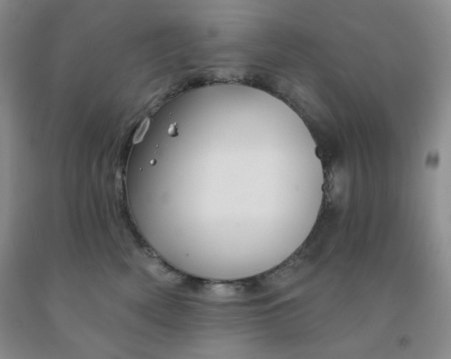 X0000092010522200709201533