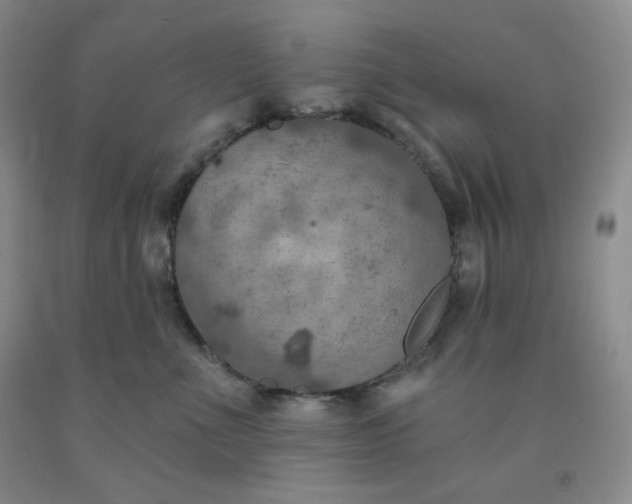 X0000092010523200709201533