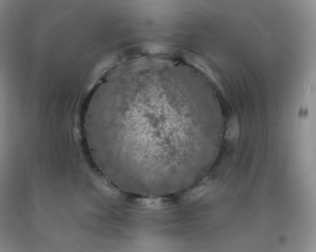 X0000092010524200709201533