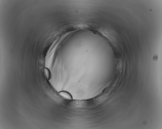 X0000092010526200709201533
