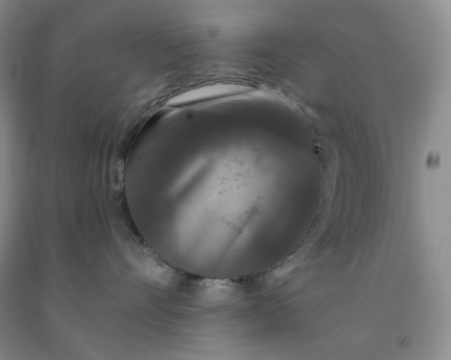 X0000092010528200709201533