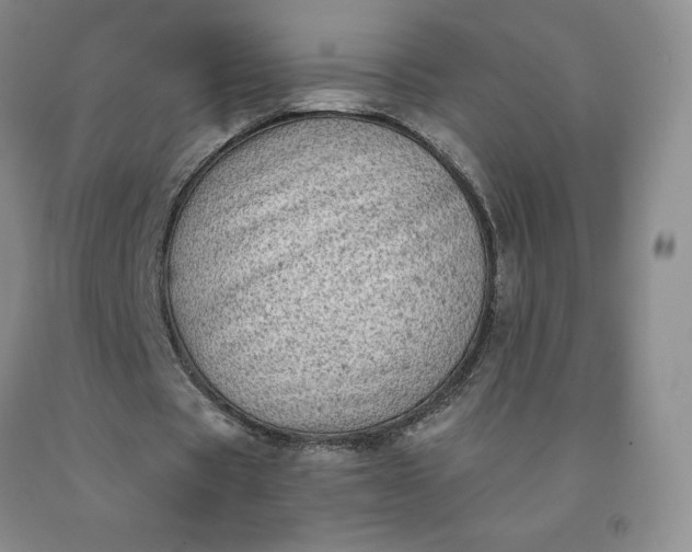 X0000092010529200709201532