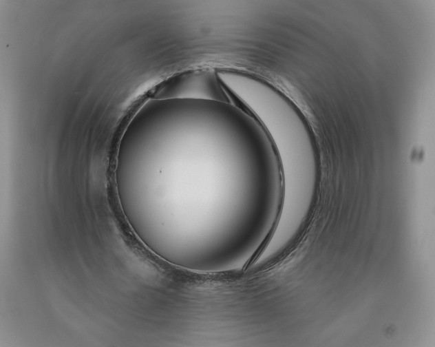X0000092010530200709201532
