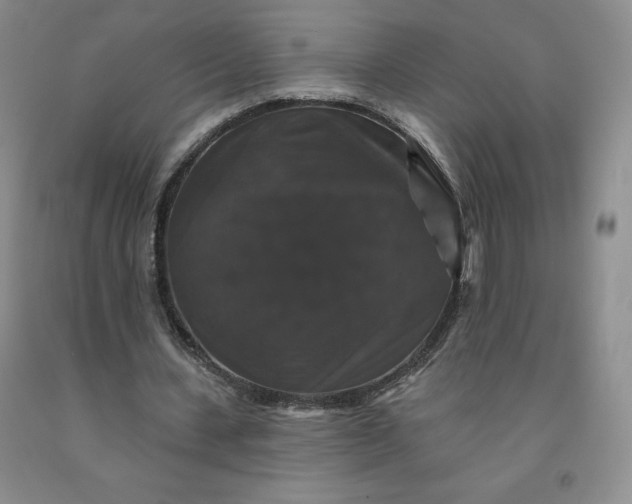 X0000092010531200709201532