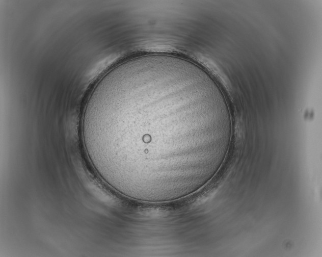 X0000092010533200709201532