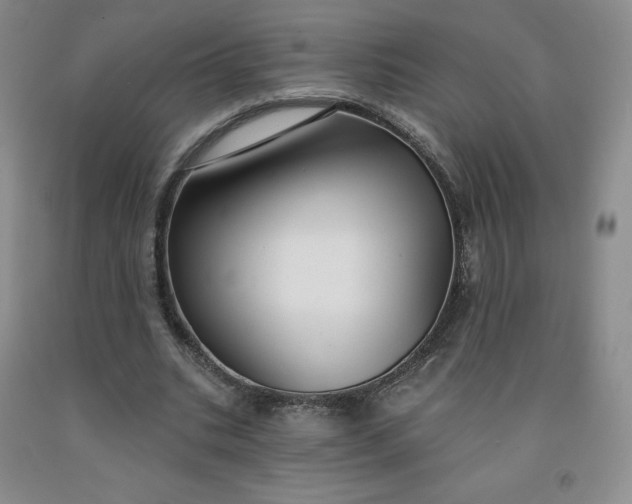 X0000092010535200709201532