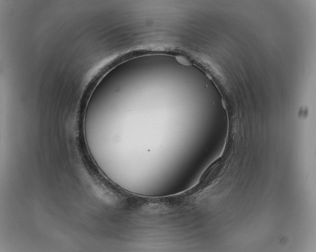 X0000092010536200709201532