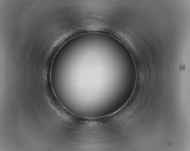 X0000092010539200709201532