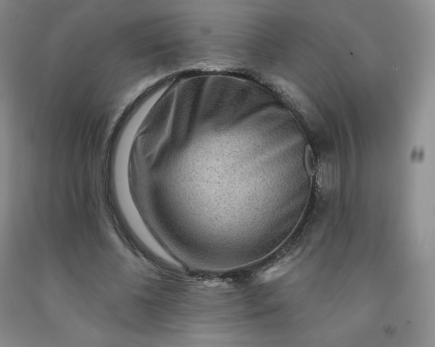 X0000092010540200709201532