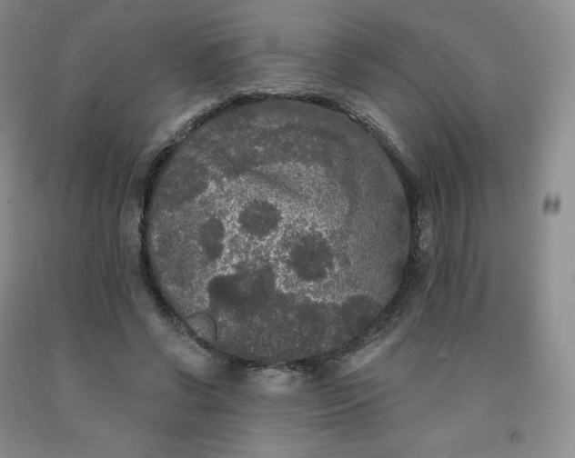 X0000092010542200709201532