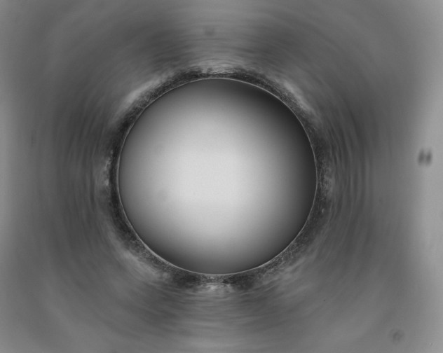 X0000092010543200709201532