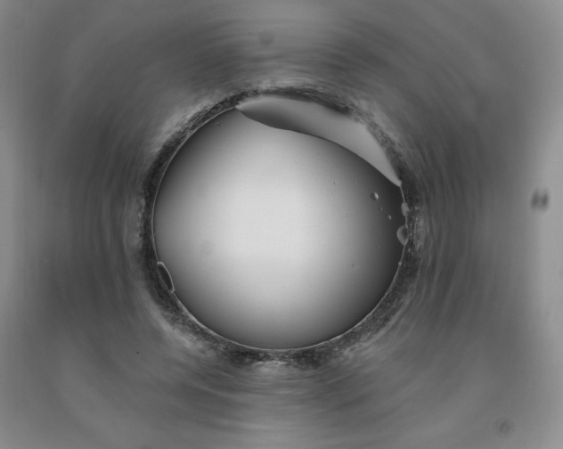 X0000092010544200709201532