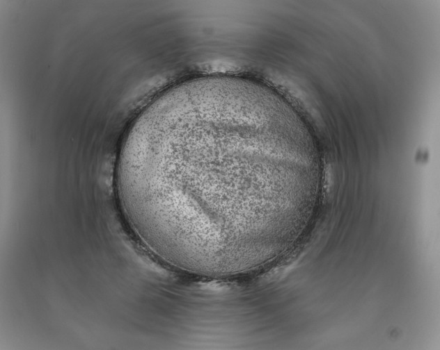 X0000092010545200709201532