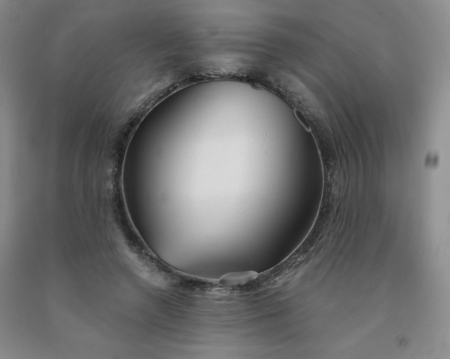 X0000092010546200709201532