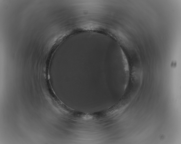 X0000092010547200709201532