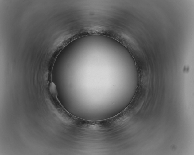 X0000092010548200709201532