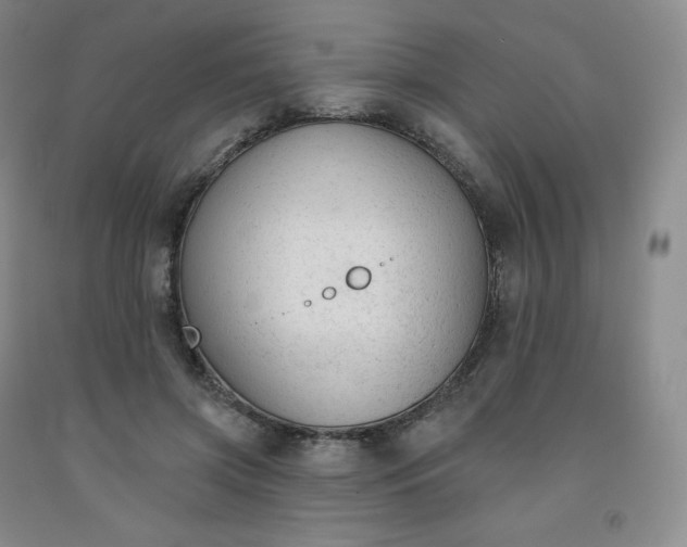X0000092010549200709201532