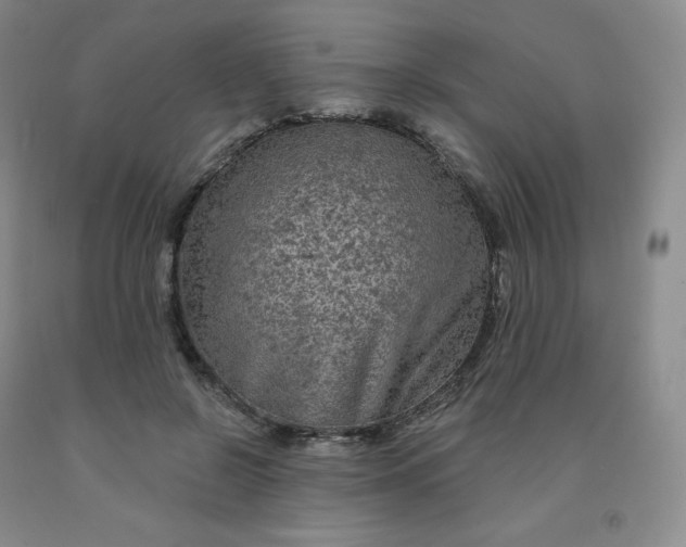X0000092010550200709201532