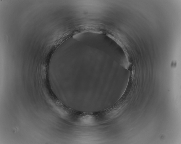 X0000092010551200709201532
