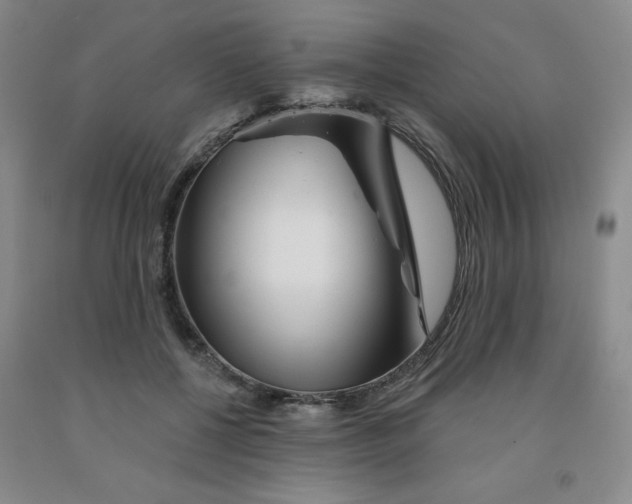 X0000092010552200709201532