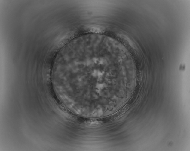 X0000092010553200709201532