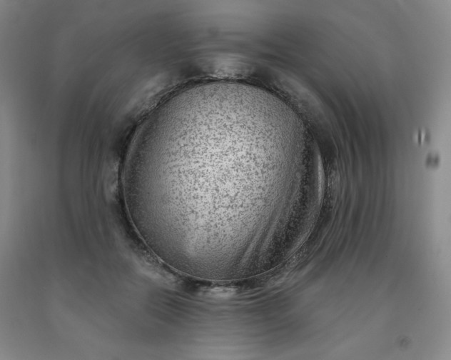 X0000092010554200709201532
