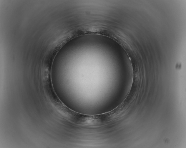 X0000092010555200709201532