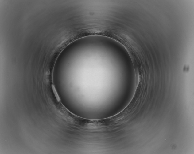 X0000092010556200709201532