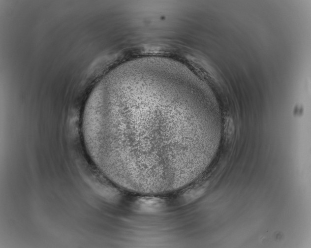 X0000092010557200709201532
