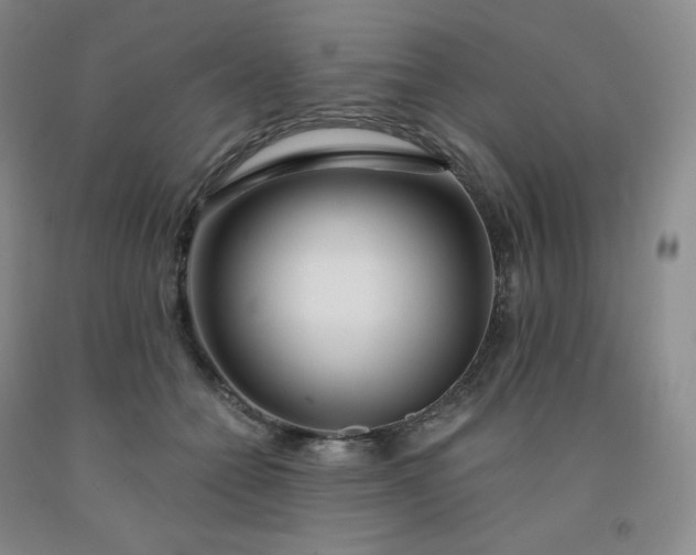 X0000092010558200709201532