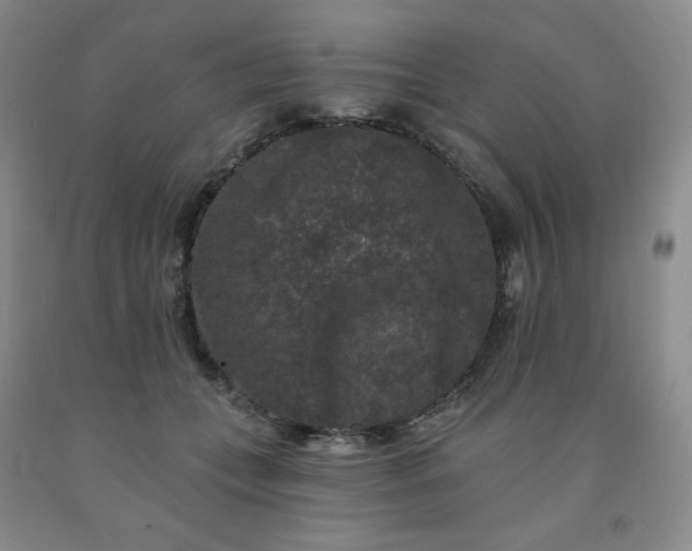 X0000092010559200709201532
