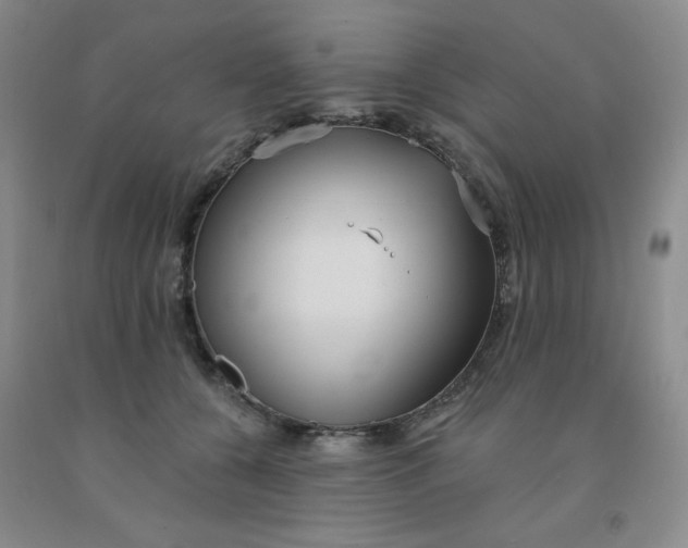 X0000092010560200709201532