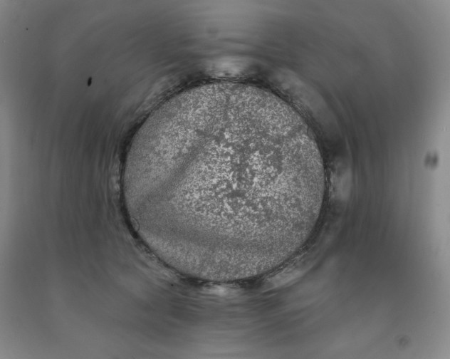 X0000092010561200709201532