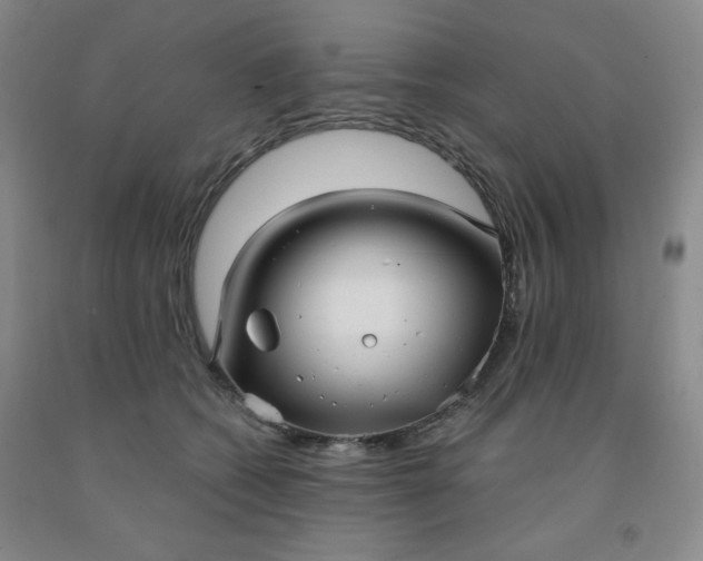 X0000092010562200709201532