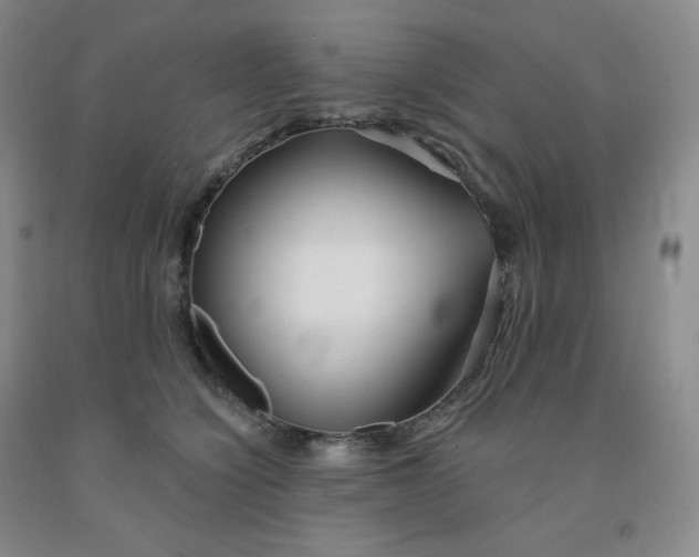 X0000092010564200709201532