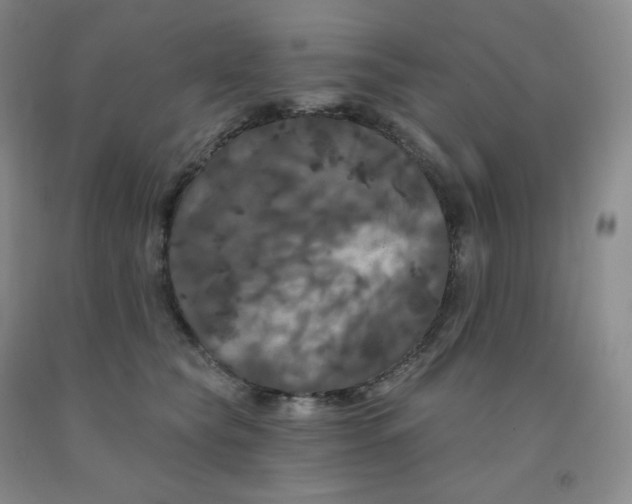 X0000092010565200709201532
