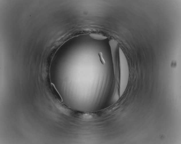 X0000092010566200709201532