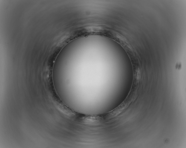X0000092010567200709201532