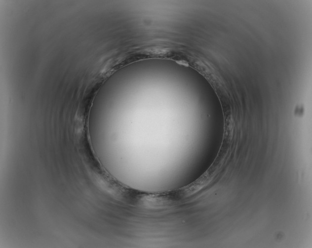 X0000092010568200709201532