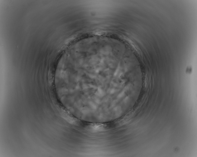 X0000092010569200709201532