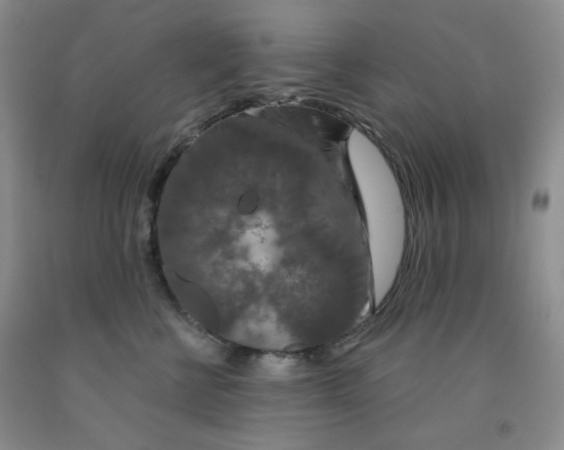 X0000092010570200709201532