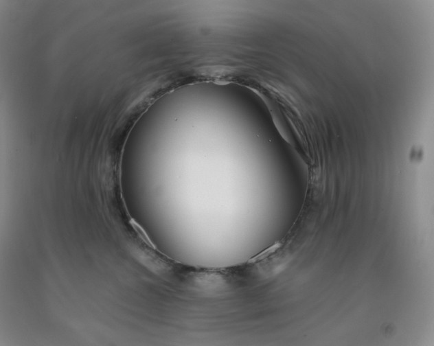 X0000092010572200709201533