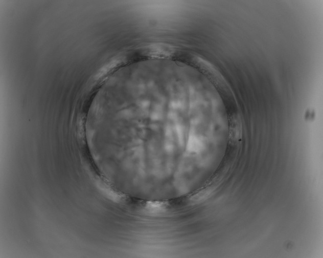 X0000092010573200709201533