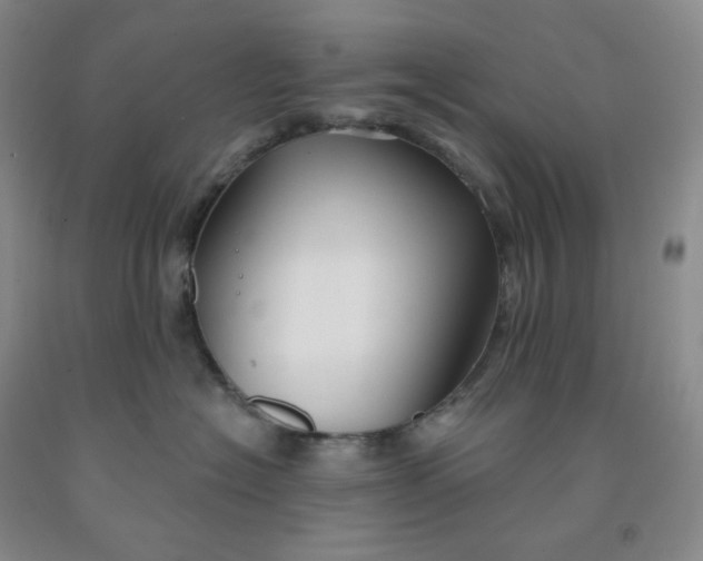 X0000092010574200709201533